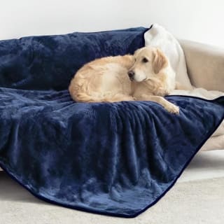 Dreamzie Manta impermeable para perro y gato 127 × 152 cm por 11,99€ en Amazon