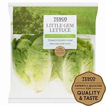 Tesco Little Gem Lettuce Twin Pack £0.59 Clubcard Deal