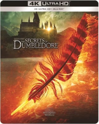 Fantastic Beasts - The Secrets Of Dumbledore voor €12,41 bij Bol