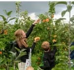 Hardfruitdagen 2025 Gratis uitje voor jong en oud