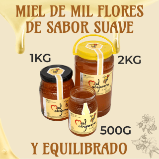 Miel Abejarana Miel de Mil Flores 2kg por 17,15€