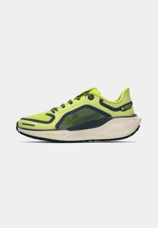 Nike Performance PEGASUS 41 GoreTeX por 79,90€