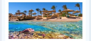 Mar Rojo 8 días Todo Incluido desde 839€.