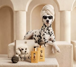 Gratis The Dog Spa hondendoekjes bij Rituals vanaf €30 besteding