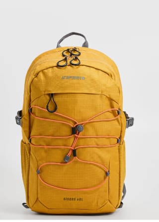 Mochila Icepeak GISORS por 39.99€