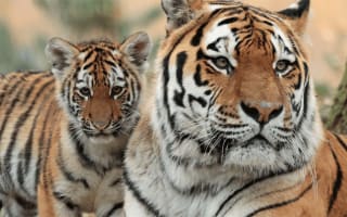 50% korting op dierentuintickets in september bij VriendenLoterij