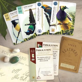 Birdwatcher - Bordspel voor €19,70 bij Bol