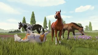 Jeu Rival Stars Horse Racing : Desktop Edition et Breathedge gratuit