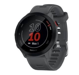 Garmin Forerunner 55 Smartwatch Gris por 139€