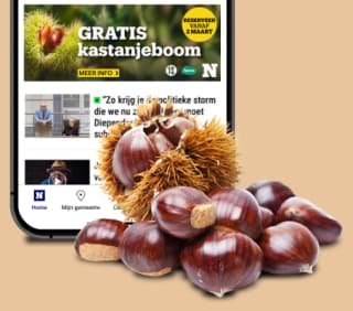 Gratis tamme kastanjeboom af te halen bij Aveve