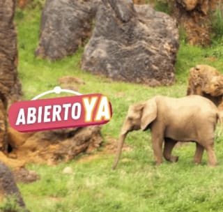 Pack Apartamentos La Marina Sunset 3000 + Entradas a Cabárceno desde 66€/pers