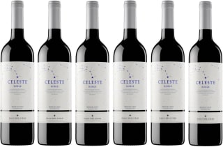 Pago del Cielo Celeste Roble, Tempranillo, Vino Tinto 6 botellas de 75 cl por 37.56€