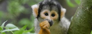 50% korting op dierentuintickets in september bij VriendenLoterij