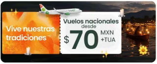 Vuelos desde $210 MXN (nacionales) y desde $95 USD (internacionales) en Viva Aerobus