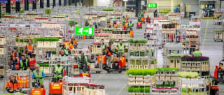 20% korting op kijkje achter de schermen bij Royal FloraHolland via Intratuin (6 feb)