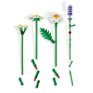 LEGO Botanicals Marguerites 11508 pour 9,59€ chez Carrefour