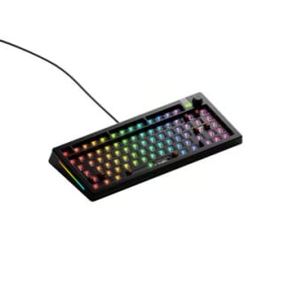 Glorious Gaming GMMK 3 PRO 75% Barebones teclado por 282,01€