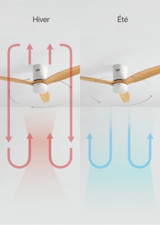 CREATE - WIND CALM ventilateur de plafond Ø132 cm à 79,95€ chez Leroy Merlin