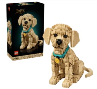 LEGO® Icons Golden retriever puppy voor €119,99 bij Intertoys