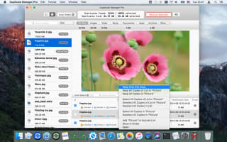 Gratis Duplicate Manager Pro (macOS) bij Apple