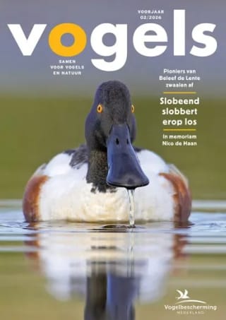Gratis proefnummer tijdschrift Vogels van de Vogelbescherming