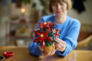 LEGO Icons Kerstster Poinsettia 10370 voor €39,90 bij Bol