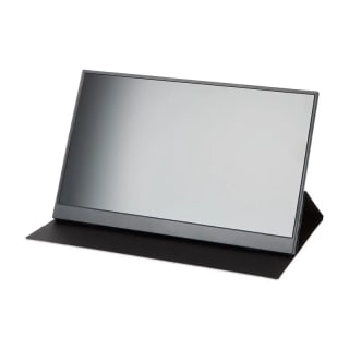 Denver Portable Monitor 15.6 Inch voor €69 bij de Action