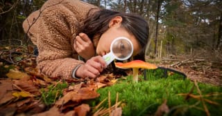 Gratis Paddenstoelenpakket van OERRR bij Natuurmonumenten