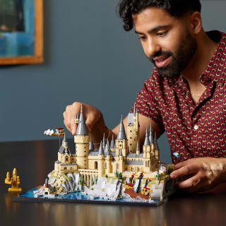 LEGO Harry Potter Le Château et le Domaine de Poudlard 76419 LEGO à 149,99€