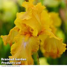 £10 Off Plants, Bulbs & Seeds at Suttons with Code