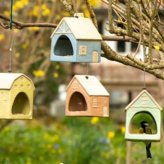 -80% op geselecteerde vogelproducten bij Vivara