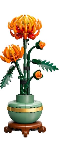 LEGO Icons Chrysant - Botanical Collection - 10368 voor €12,99 bij Bol