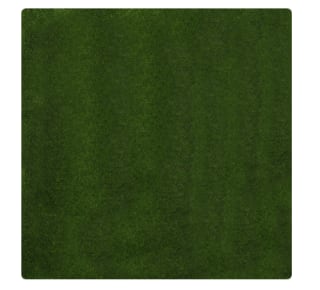 Grastapijt Cumbria €31bij Gamma (per cm, 2m breed)