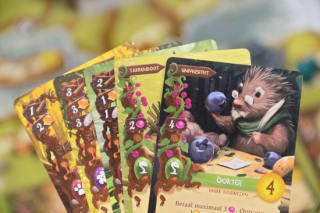 White Goblin Games Everdell (basisspel) voor €46,99 bij Bol