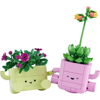 LEGO Botanicals 11506 - Petites Plantes Dansantes pour 11,99€ chez Auchan