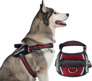 Arnés para Perro Tipo Silla Transpirable por $149 | Oferta Amazon