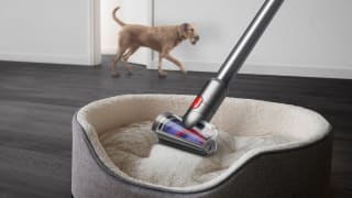 Dyson V15 Detect Absolute por 569.05€