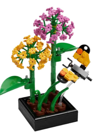 LEGO® Botanicals Vlindertuin voor 1500 Insiders punten twv €10 in de lego store