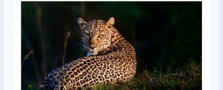 Kenia 5* con Safari 8 días desde 1599€.