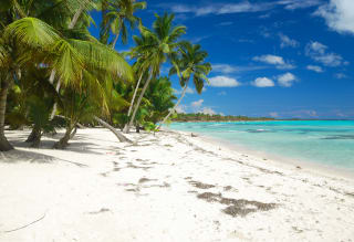Vuelo + Hotel Punta Cana por $24,995 en Liverpool