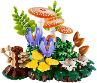 LEGO Botanicals Bospaddenstoelen 11505 voor €46,04 bij Amazon