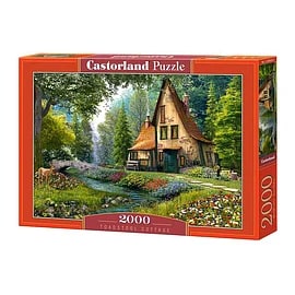 Diverse Castorland puzzels 2000 stukjes voor €9,99 bij Lobbes