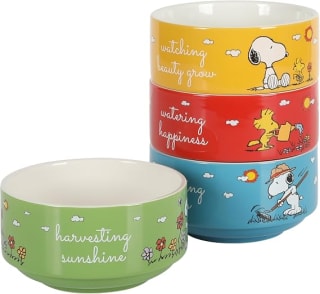 Peanuts Snoopy - Juego de 4 tazones apilables (14 cm) por $548.26 en Amazon