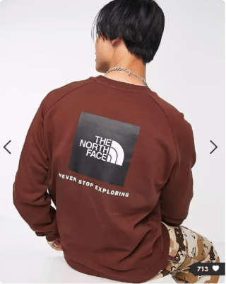 Sudadera marrón The North Face por 34€