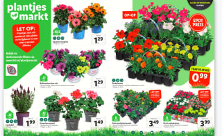 Plantjes Markt met diverse perkplantjes vanaf €0,99 bij de Lidl