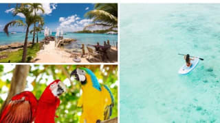 Escapada de 8 días al Caribe con Todo incluido desde 999€