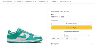 Baskets Nike Dunk Low Retro à 75€