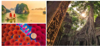 Aventura de 16 días en Camboya y Vietnam con -50% deswcuento