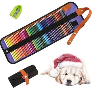 Kit Dibujo 50 Lápices Color Salandens por $207 | Amazon