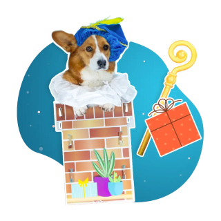 Gratis lekkers in het voerbakje van je huisdier bij Maxizoo